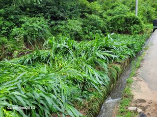 홍무관님의 🎉상반기 결산 자랑하기 · 참여글 작성글 사진