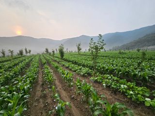 김시헌 님의 자유주제 · 자유게시판 작성글 사진