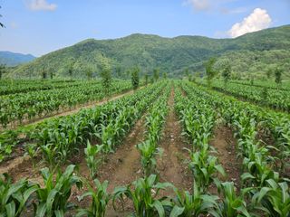 김시헌 님의 자유주제 · 자유게시판 작성글 사진
