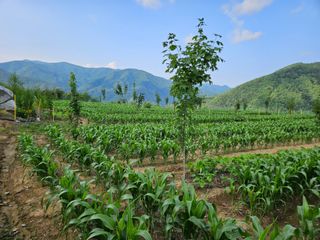 김시헌 님의 자유주제 · 자유게시판 작성글 사진