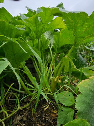 포도21806님의 자유주제 · 자유게시판 작성글 사진