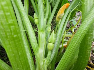 포도21806님의 자유주제 · 자유게시판 작성글 사진