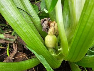 포도21806님의 자유주제 · 자유게시판 작성글 사진