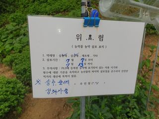 짱순이연속8월출석왕님의 최고의 제초제는 무엇인가요?🌿 · 참여글 작성글 사진