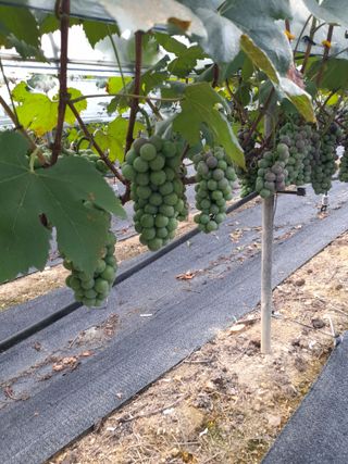 Keep님의 자유주제 · 자유게시판 작성글 사진