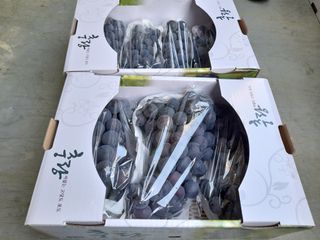 Keep님의 자유주제 · 자유게시판 작성글 사진