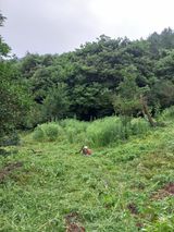 팜모닝 자유주제·자유게시판 게시글 이미지