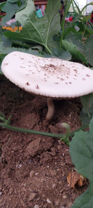 김윤님의 자유주제 · 자유게시판 작성글 사진