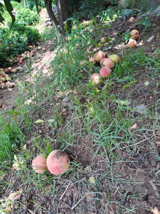 정강화님의 자유주제 · 자유게시판 작성글 사진