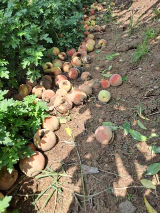 정강화님의 자유주제 · 자유게시판 작성글 사진