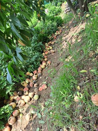 정강화님의 자유주제 · 자유게시판 작성글 사진