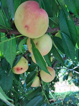 정강화님의 자유주제 · 자유게시판 작성글 사진