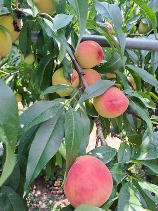 정강화님의 자유주제 · 자유게시판 작성글 사진