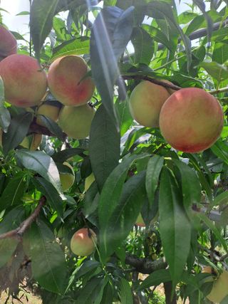 정강화님의 자유주제 · 자유게시판 작성글 사진