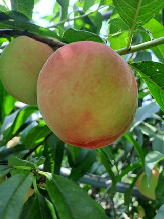 정강화님의 자유주제 · 자유게시판 작성글 사진