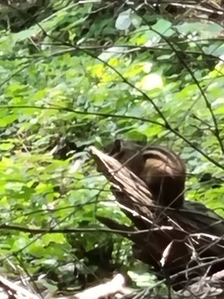 김선두님의 자유주제 · 사진전 작성글 사진