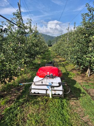 사과와곶감님의 사과 · 영농일지 작성글 사진