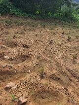 팜모닝 농사, 무엇이든 물어보세요!·참여글 게시글 이미지