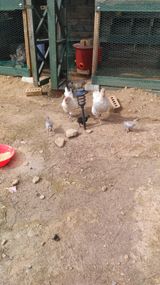 팜모닝 자유주제·자유게시판 게시글 이미지