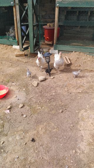 박동수님의 자유주제 · 자유게시판 작성글 사진