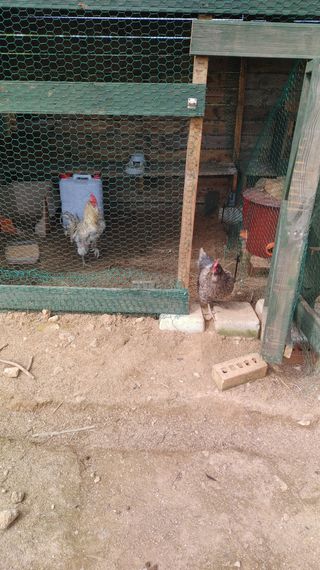 박동수님의 자유주제 · 자유게시판 작성글 사진