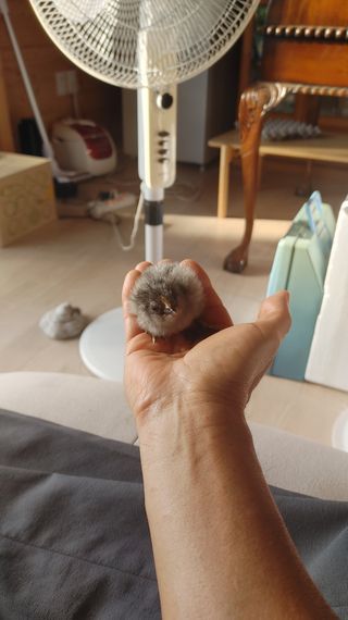 박동수님의 자유주제 · 자유게시판 작성글 사진