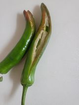 팜모닝 자유주제·자유게시판 게시글 이미지