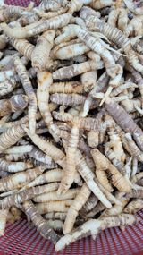 팜모닝 자유주제·사진전 게시글 이미지