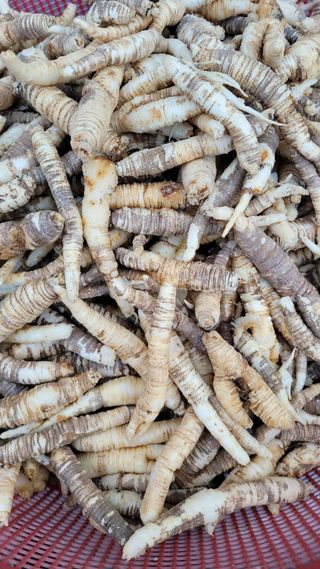 주)미산 조전무님의 자유주제 · 사진전 작성글 사진