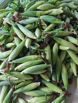 팜모닝 자유주제·자유게시판 게시글 이미지