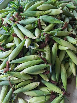 강정희님의 자유주제 · 자유게시판 작성글 사진