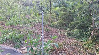 매실12249님의 자유주제 · 자유게시판 작성글 사진