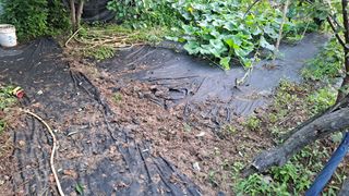 매실12249님의 자유주제 · 자유게시판 작성글 사진