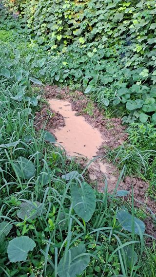 매실12249님의 자유주제 · 자유게시판 작성글 사진