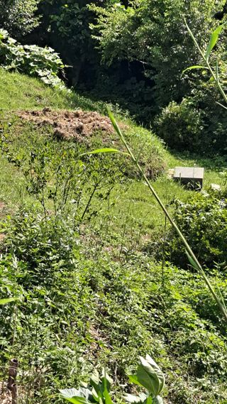 매실12249님의 자유주제 · 자유게시판 작성글 사진