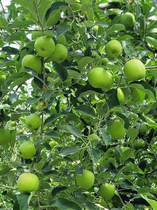 김재현님의 작성글 사진