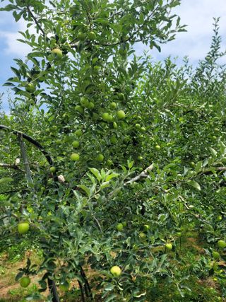 김재현님의 작성글 사진