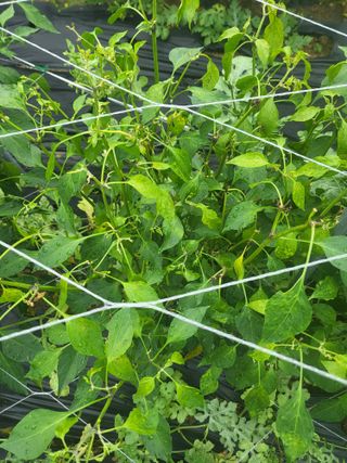 박해익님의 자유주제 · 자유게시판 작성글 사진