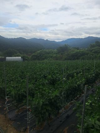 이용호님의 자유주제 · 자유게시판 작성글 사진