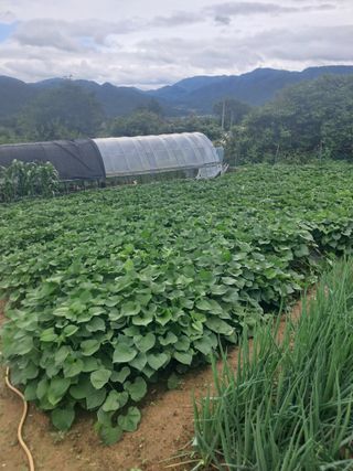 이용호님의 자유주제 · 자유게시판 작성글 사진