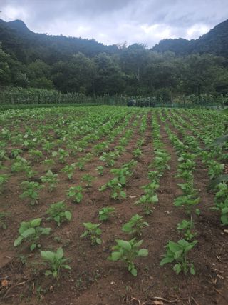 이용호님의 자유주제 · 자유게시판 작성글 사진