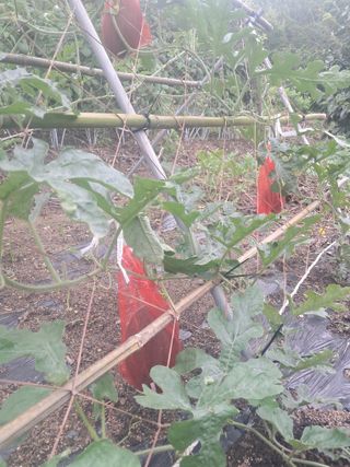 이용호님의 자유주제 · 자유게시판 작성글 사진