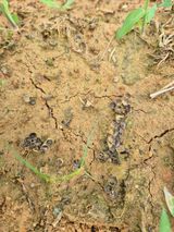 팜모닝 자유주제·자유게시판 게시글 이미지