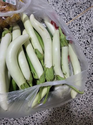 행운농부님의 자유주제 · 자유게시판 작성글 사진