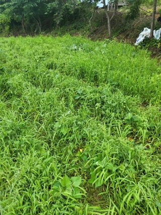 조상희님의 자유주제 · 자유게시판 작성글 사진