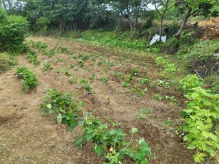 조상희님의 자유주제 · 자유게시판 작성글 사진