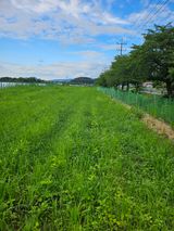 팜모닝 콩·영농일지 게시글 이미지