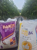 팜모닝 고추·영농일지 게시글 이미지