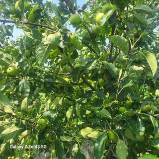 아림농장 대저2동 님의 자유주제 · 자유게시판 작성글 사진