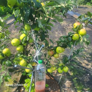 아림농장 대저2동 님의 자유주제 · 자유게시판 작성글 사진